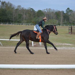 Meet your Posher, Lovelady